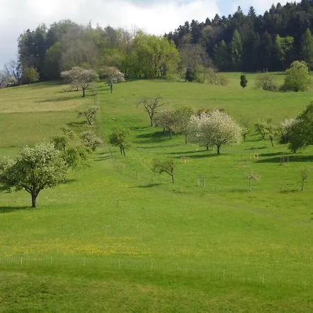 Semesterbostad Am Reichenbach Modern Retreat Freiamt